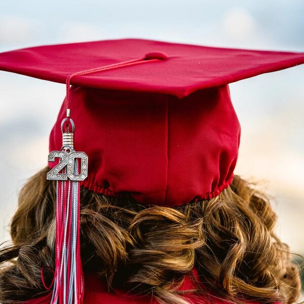 The Dr. Meow College of Medicine, Certificate of Achievement