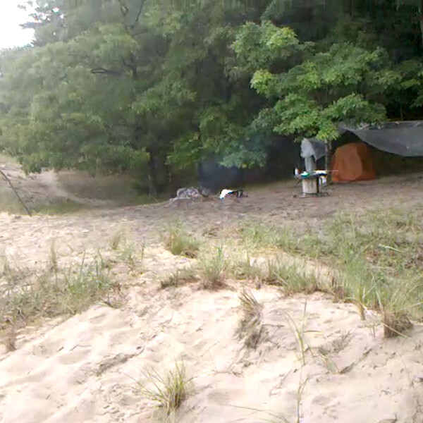 Morning Fog at Nordhouse Dunes