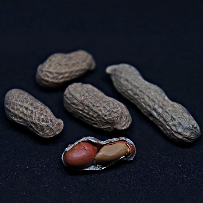 Of Photogrammetric Peanuts And The Importance Of Real Education